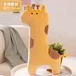 缩略图 5