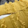缩略图 3