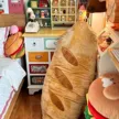 缩略图 2
