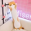 缩略图 8