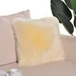 缩略图 1