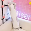 缩略图 5