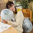 缩略图 3