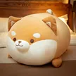 缩略图 5