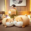 缩略图 1