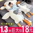 缩略图 1