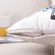 缩略图 2