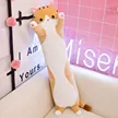缩略图 7