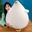 缩略图 2