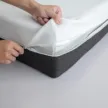 缩略图 1