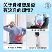缩略图 1