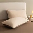 缩略图 2