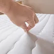 缩略图 3