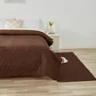缩略图 8
