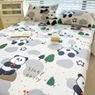 缩略图 1