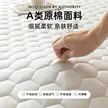 缩略图 5