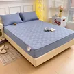 缩略图 8