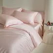 缩略图 9