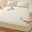 缩略图 2