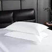 缩略图 2