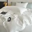 缩略图 5