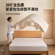 缩略图 3