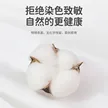 缩略图 2