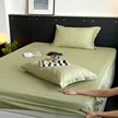 缩略图 8