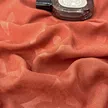 缩略图 2