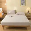 缩略图 8