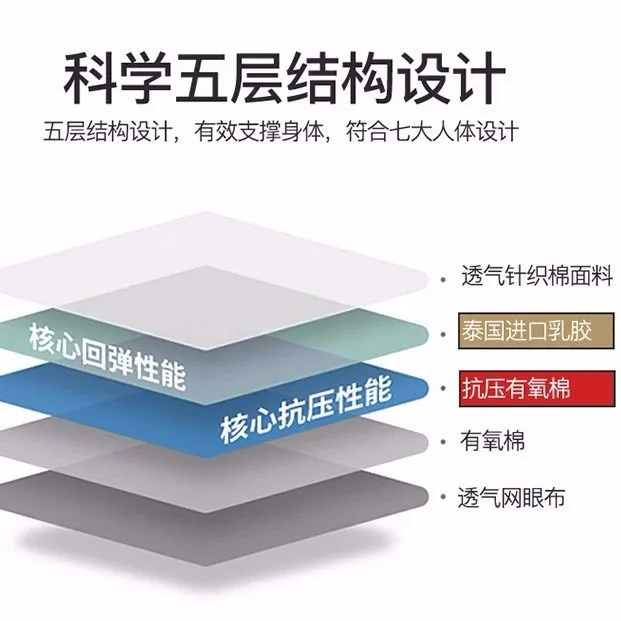 主图 1