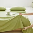 缩略图 8