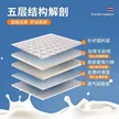 缩略图 8