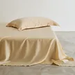 缩略图 7