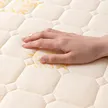 缩略图 2