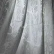 缩略图 1