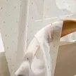 缩略图 1