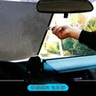 缩略图 2