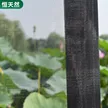 缩略图 3
