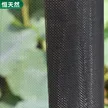 缩略图 2