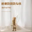 缩略图 2