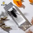 缩略图 10