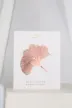 缩略图 7
