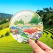 缩略图 6