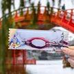 缩略图 8