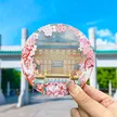 缩略图 1