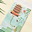缩略图 5