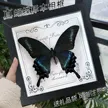 缩略图 2