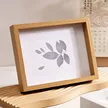 缩略图 3