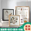 缩略图 3
